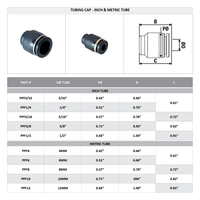 PPF5/32 FLOFLEX FLOFLEX COMPOSITE PUSH-IN PNEUMATIC FITTING, 5/32" TUBE CAP