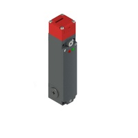 PIZZATO SAFETY SWITCH<BR>FG SERIES 1NO + 1NC LOCKING, 1NO + 1NC ACTUATOR OPERATED CONTACTS, 24VDC, F22 KEY